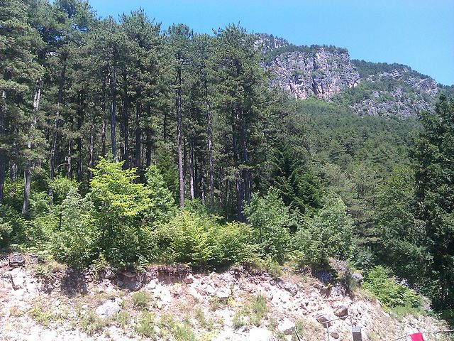 Mt. Olympus: Edo de Roo, CC BY 3.0 https://creativecommons.org/licenses/by/3.0, via Wikimedia Commons